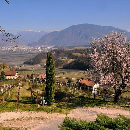 Firmelein Apartment Appiano Sulla Strada Del Vino Ngoại thất bức ảnh